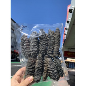 新西兰 野生桂花刺参20+只
