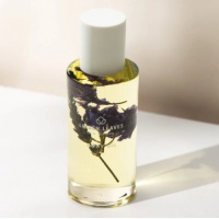 Linden Leaves absolute Dreams Oil 100ml 薰衣草精油【保质期2028/06】